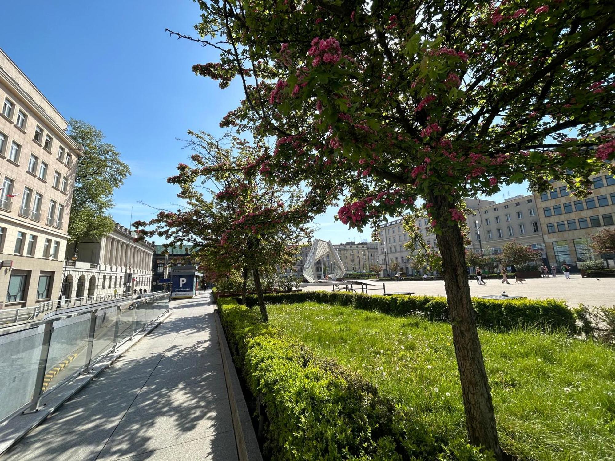 Apartamenty Pl. Wolnosci 6 Poznań Exterior foto